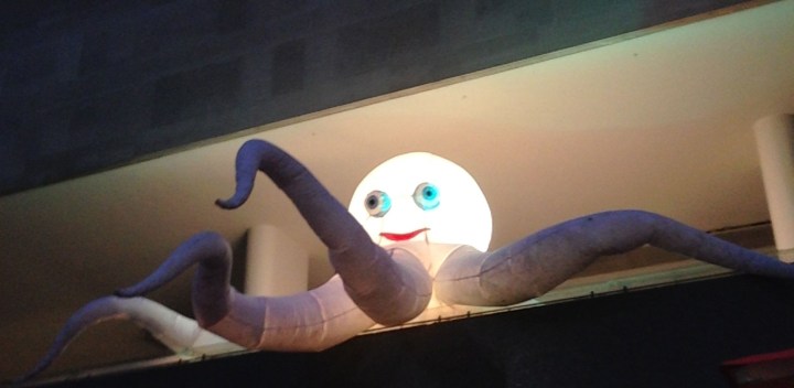 BOC at the Royal Festival Hall 2014