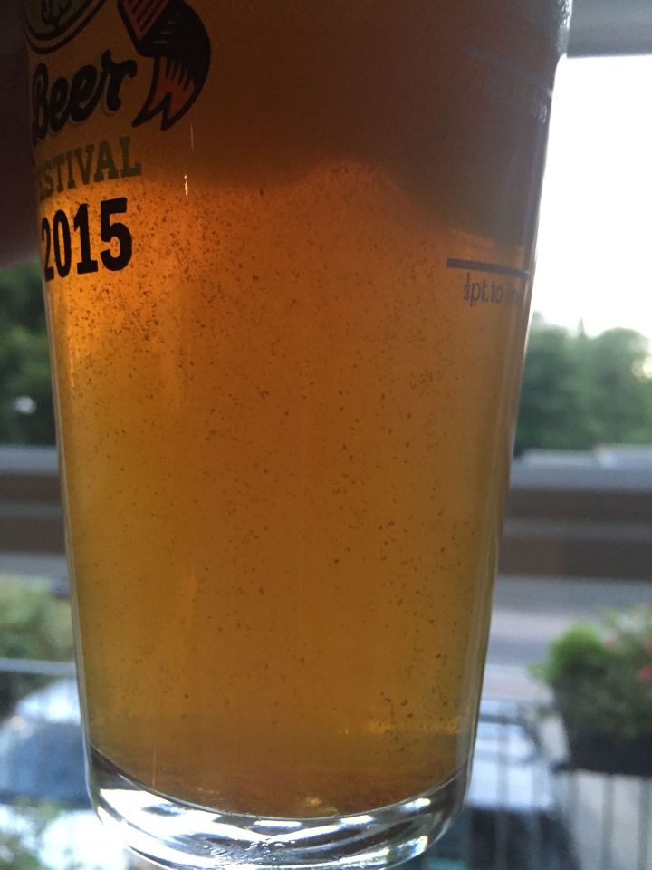 Soundwave IPA in the glass