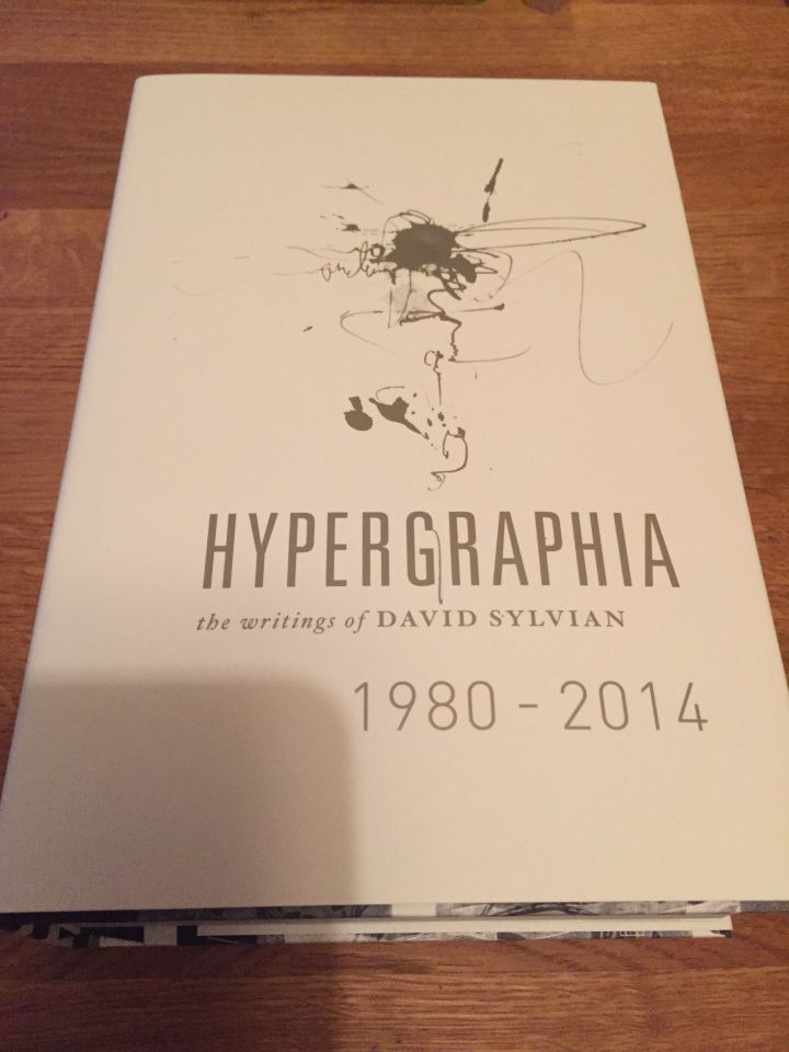 Hypergraphia by David Sylvian